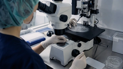 Embriyoloji laboratuvarında mikroskop altında hassas işlem yapan uzman